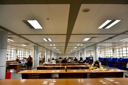 湖工的“早八人” 晨光中的渡书人自习图景